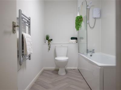Picture 8